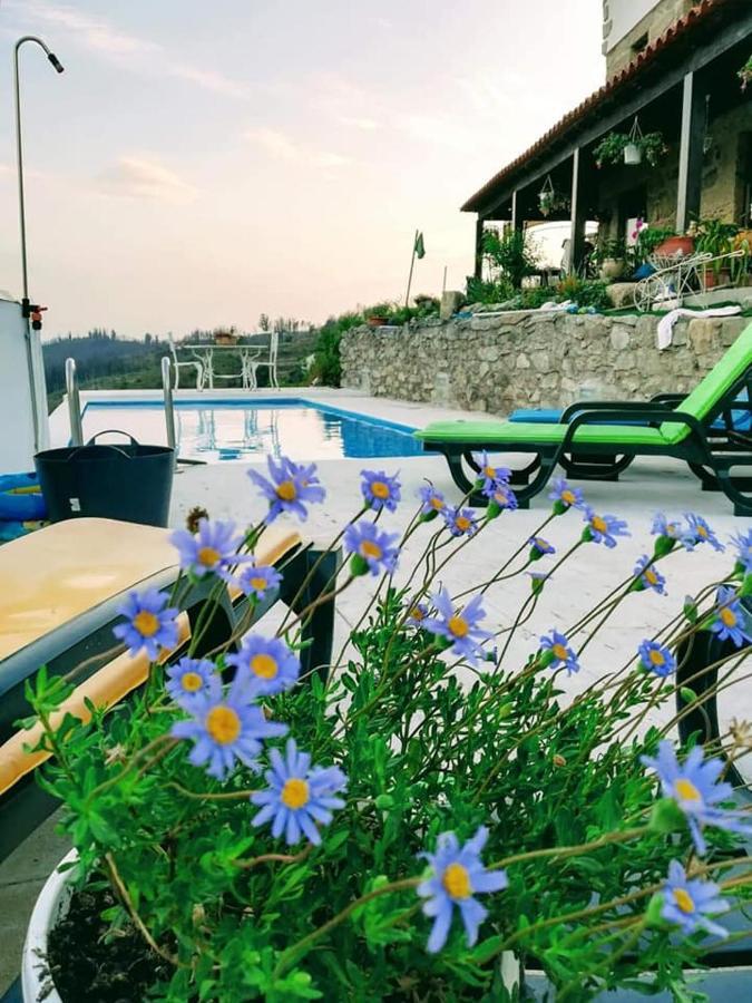 Quinta Do Cavaleiro Ao Sol - Um Lugar Ao Sol Guest House Catraia de Sao Paio Екстериор снимка